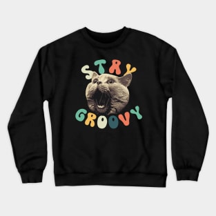 Stay Groovy Crewneck Sweatshirt